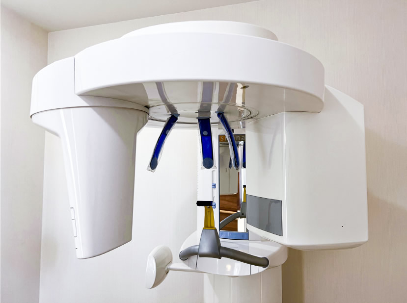 �ǥ�������ȥ���