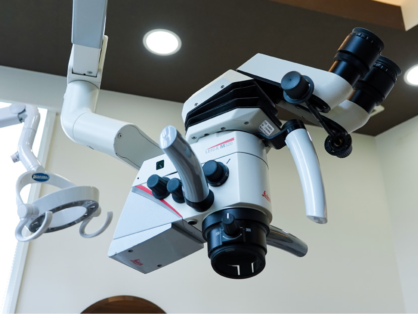 �����Ѹ�����